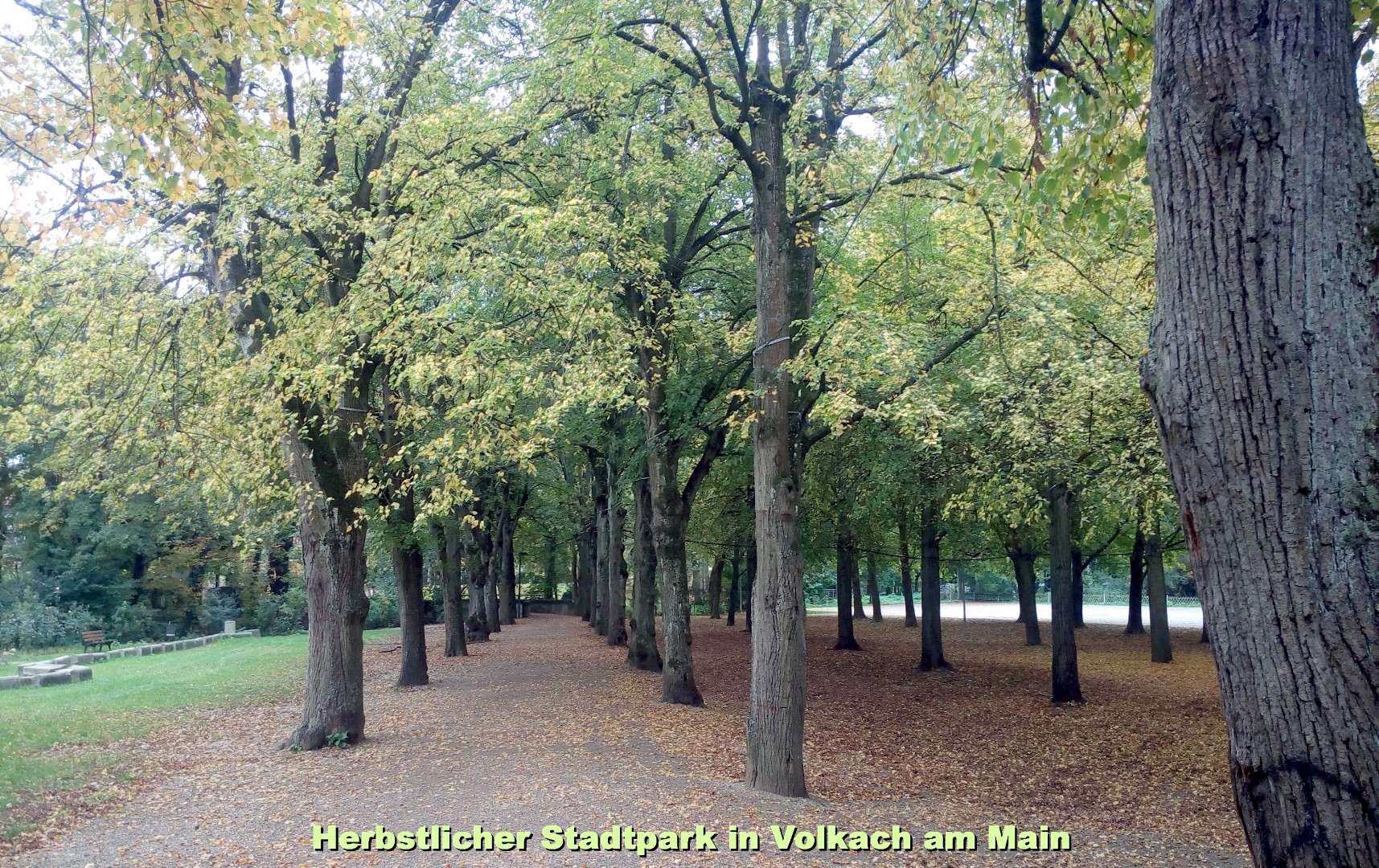 Park in Volkach