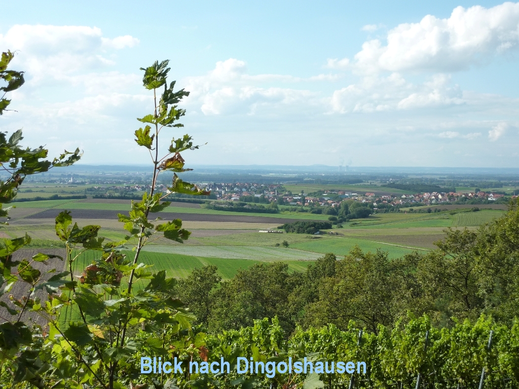 Weinfahrt nach Dingolshausen
