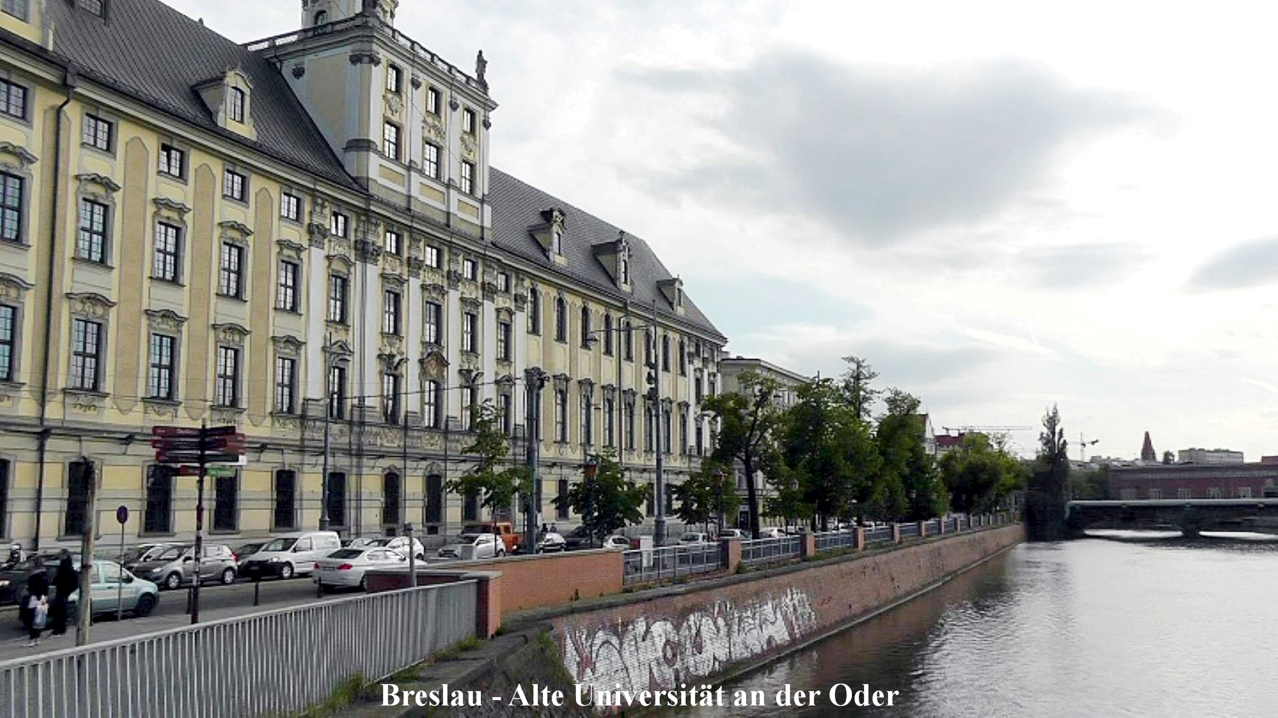 Breslau Alte Universit�t